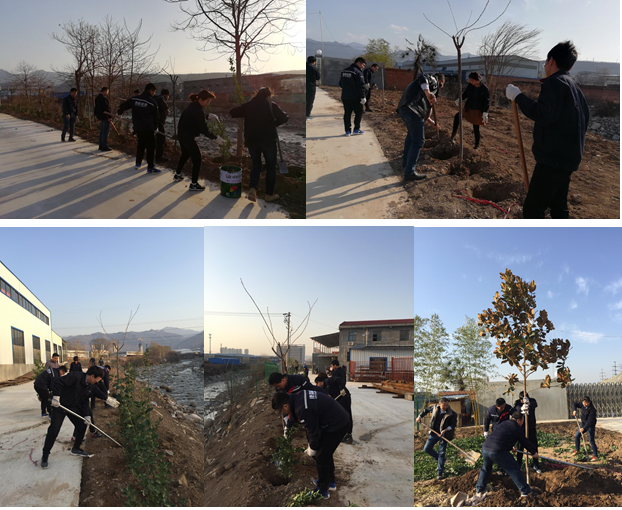 寶雞捷銳“迎春風(fēng)，綠家園”植樹(shù)節(jié)(圖1)