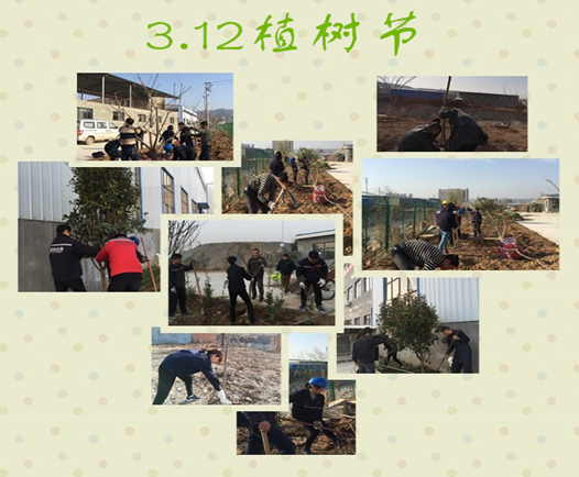 寶雞捷銳“迎春風(fēng)，綠家園”植樹(shù)節(jié)(圖3)